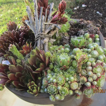 Mosel-auszeit Apartman *