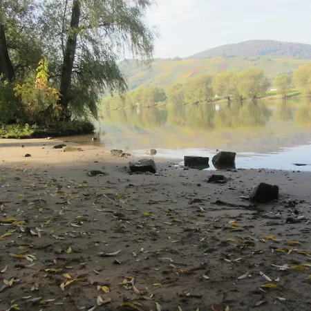 Mosel-auszeit Apartman *