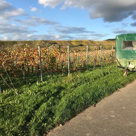 Mosel-auszeit Lejlighed