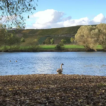 Apartamento Mosel-auszeit *