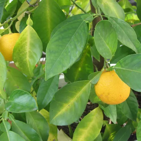 Mosel-auszeit * Brauneberg