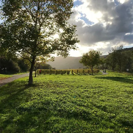 Mosel-auszeit Daire
