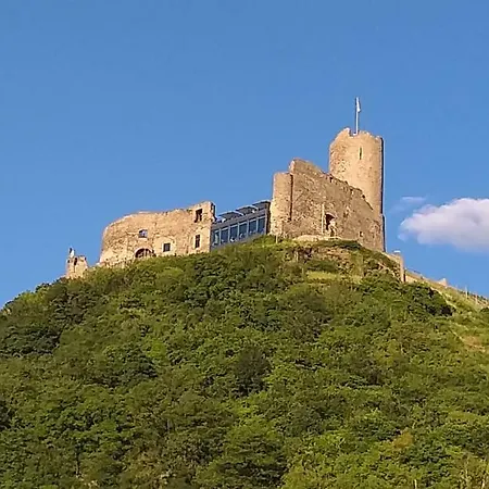 Apartman Mosel-auszeit *