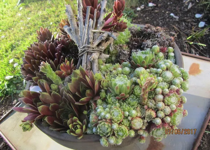 Mosel-auszeit 公寓 *