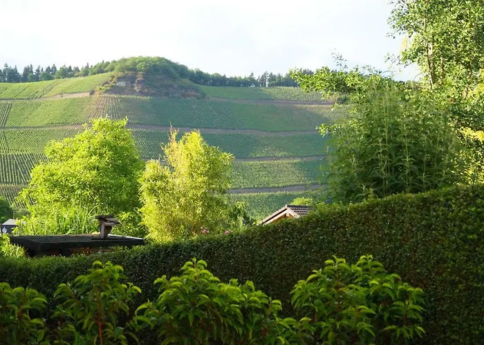 Mosel-auszeit * 布劳讷贝格