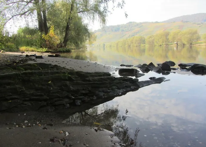 Mosel-auszeit Apartment Brauneberg