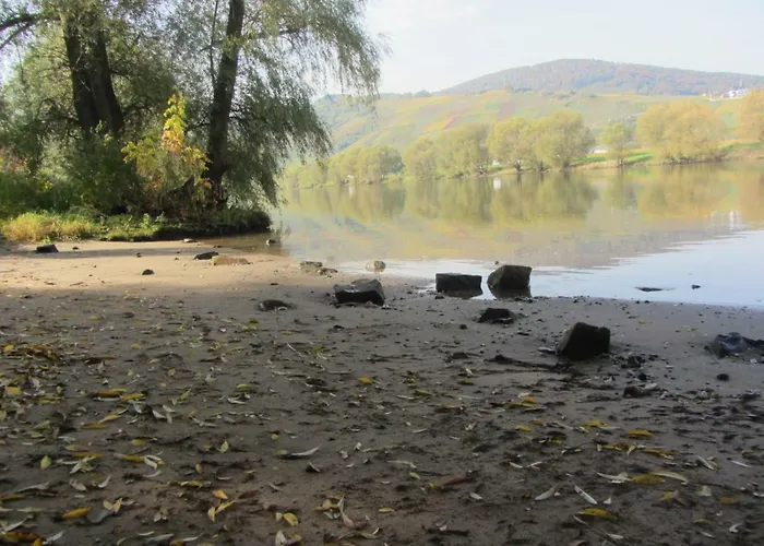 Mosel-auszeit 公寓 *