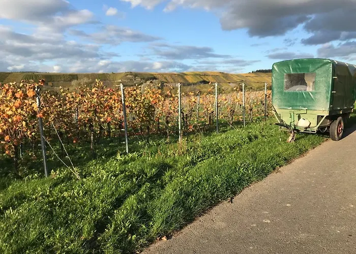 Mosel-auszeit 公寓