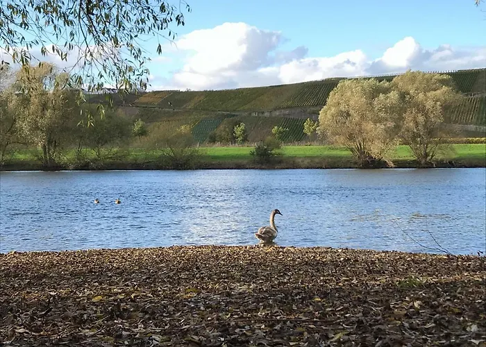 Apartment Mosel-auszeit *