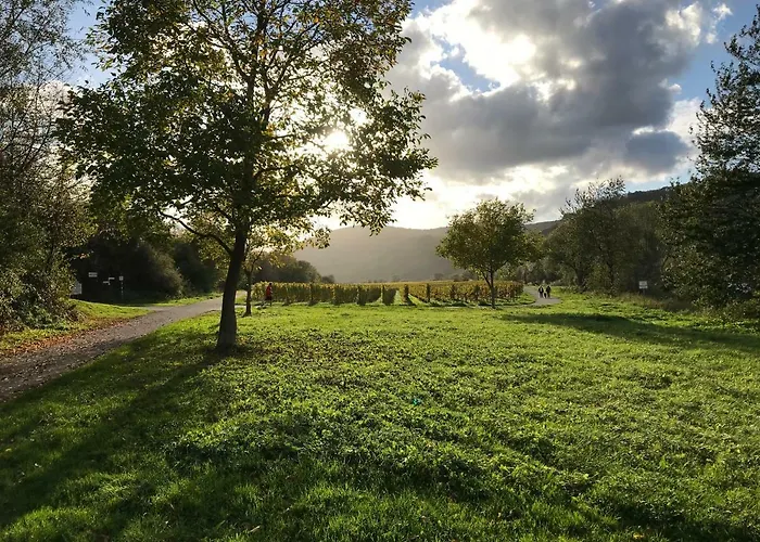 Mosel-auszeit 公寓